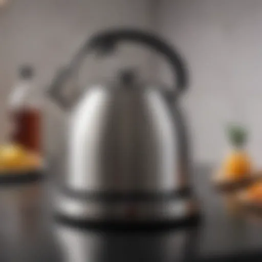 Elegant stainless steel induction kettle showcasing modern design