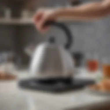 User-friendly kettle with ergonomic handle and whistle feature