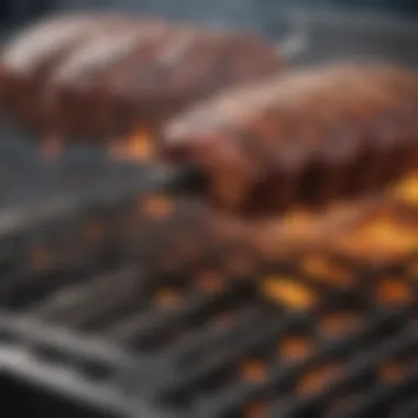 Close-up view of a Char Broil grill igniter showcasing its intricate design.