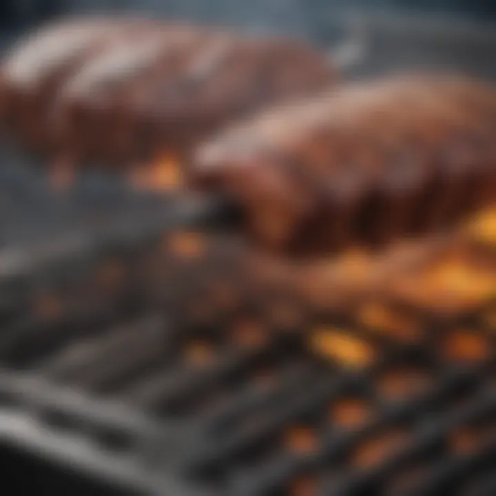 Close-up view of a Char Broil grill igniter showcasing its intricate design.