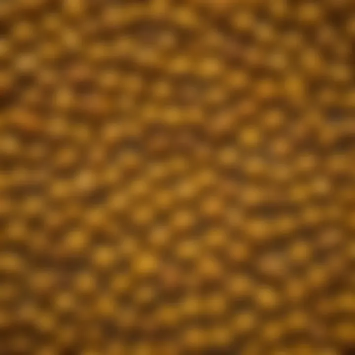 A close-up view of mustard seeds showcasing their texture and color.