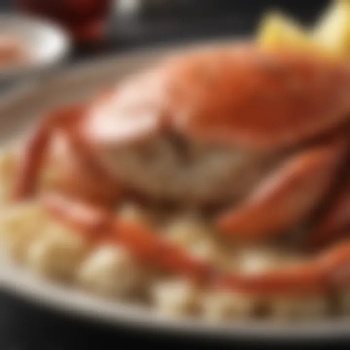 Close-up of fresh crab meat served on a plate