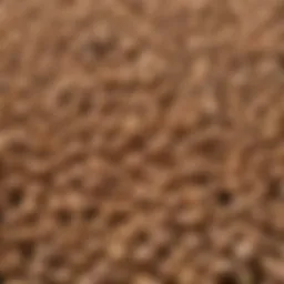 A close-up view of premium wood pellet varieties for smoking